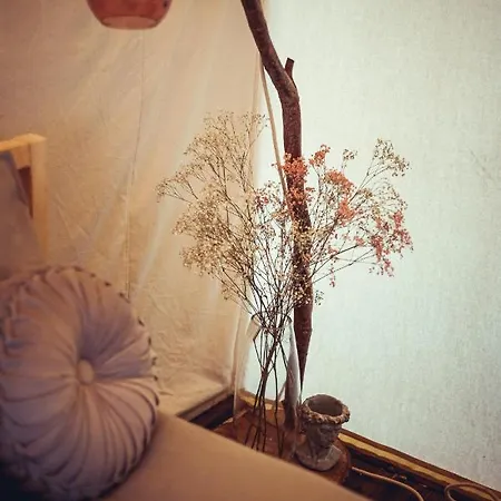Boho Park Glamping * Zawiszyn