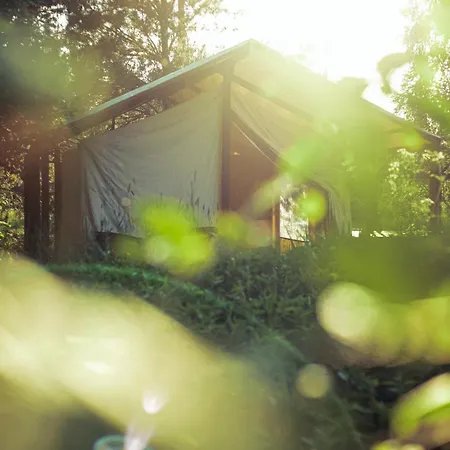 Boho Park Glamping
