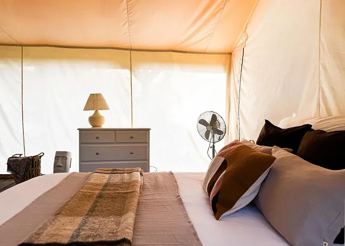 Boho Park Glamping Zawiszyn