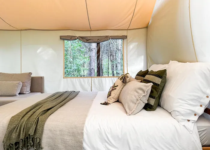 Boho Park Glamping Zawiszyn